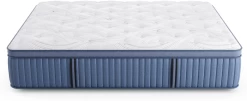 Miskelly Sleep Rejuvenate Medium Pillow Top Twin XL Mattress -Bedding Store 07e09ea5 7da8 474b 965c e9b7cb5caa16