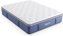 Miskelly Sleep Aspire Firm Pillow Top Queen Mattress