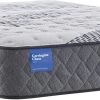 Sealy® Carrington Chase Clairebrook Wrapped Coil Firm Tight Top Twin Mattress -Bedding Store 0e5e47ef 2a5f 4c83 8727 c4d758b83983 2