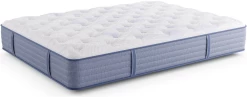 Miskelly Sleep Grace Soft Tight Top Queen Mattress -Bedding Store 11018ee3 5796 4166 92e1 0536615a09b5 1