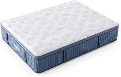 Miskelly Sleep Rejuvenate Medium Pillow Top Twin XL Mattress -Bedding Store 19bf252b e788 40e4 8383 a8ed8f17050a