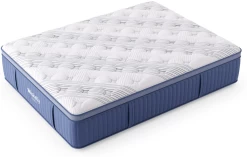 Miskelly Sleep Inspire Plush Pillow Top Queen Mattress -Bedding Store 2dbd1a98 cbd6 42fc 92ea 0f247c43a1a0 2