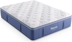 Miskelly Sleep Inspire Medium Pillow Top Full Mattress