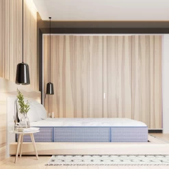 Miskelly Sleep Grace Soft Tight Top Twin Mattress -Bedding Store 3269d975 ec92 4f46 8ada f6a1d326b207