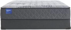 Sealy® Carrington Chase Clairebrook Wrapped Coil Firm Tight Top Full Mattress -Bedding Store 33dce814 70d7 4ea6 a020 e5bbc31af6ee