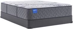 Sealy® Carrington Chase Stoneleigh Wrapped Coil Firm Tigh Top Queen Mattress -Bedding Store 41afe9a4 6e12 4f75 9012 467cfdf34598 1