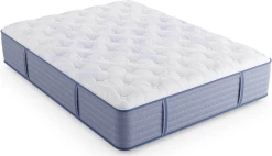 Miskelly Sleep Allure Medium Tight Top Split King Mattress