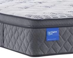 Sealy® Carrington Chase Northpointe Plush Queen Mattress -Bedding Store 53941096 1d0d 47c9 9c29 497aa505805d 1