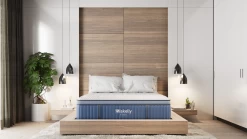 Miskelly Sleep Aspire Plush Pillow Top Full Mattress -Bedding Store 5c90d21c 4637 47ae bf1f 632cc4d1c200 2