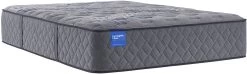 Sealy® Carrington Chase Westferry Hybrid Plush Queen Mattress