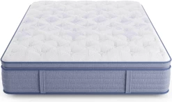 Miskelly Sleep Motivation Soft Pillow Top Queen Mattress -Bedding Store 75e41bd3 b1db 41cd bca6 02107ad0f862