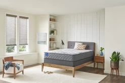 Sealy® Carrington Chase Hatchell Plush Queen Mattress -Bedding Store 7a2e76ef 6558 4e9c b8c5 e6052cbbf278 5