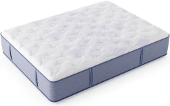 Miskelly Sleep Allure Medium Tight Top Twin XL Mattress -Bedding Store 7ff346ff e8b0 4031 a55a 4fca35d1134e