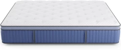 Miskelly Sleep Aspire Plush Pillow Top Queen Mattress -Bedding Store 8480556d 81c1 4961 bece f56ac7bd765c 1