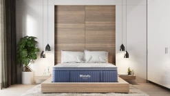 Miskelly Sleep Inspire Plush Pillow Top Queen Mattress -Bedding Store 850827a7 d216 4f2d b9ec 0bb43a464152 2