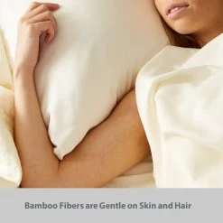 Bedvoyage Rayon Viscose Bamboo Pillowcase Set - Full/Standard -Bedding Store 9138a1afa4d84621a3903b98bee203ba