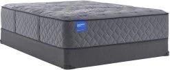 Sealy® Carrington Chase Launceton Hybrid Firm Split King Mattress -Bedding Store 94cce313 ea2f 4b23 bf04 f035557fbcf1