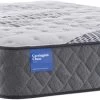 Sealy® Carrington Chase Hatchell Plush Double Mattress -Bedding Store c600544e fd72 4ad0 bd13 ce600b55070b 1