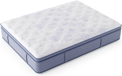 Miskelly Sleep Motivation Soft Pillow Top Split King Mattress -Bedding Store ca0469c4 0640 428e 8329 a7e46314d011