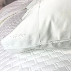 Bedvoyage Rayon Viscose Bamboo Pillowcase Set - Full/Standard -Bedding Store cfb645ad59924946ad7a16e146d78f87