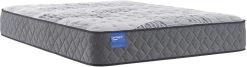 Sealy® Carrington Chase Hatchell Firm Twin Mattress