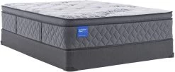Sealy® Carrington Chase Northpointe Plush Queen Mattress -Bedding Store e3d4aba8 3218 43c8 ae4f 7c923fc7a18e 2