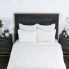 Classic Home Bari White King Velvet Cloud Quilt